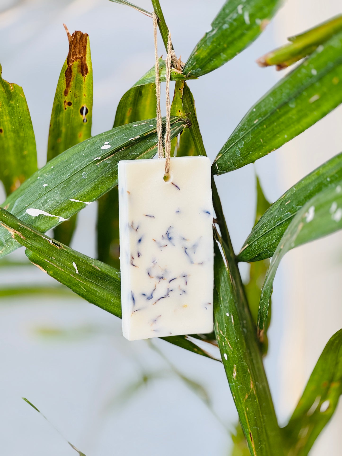 Wax Tablet - Lavender